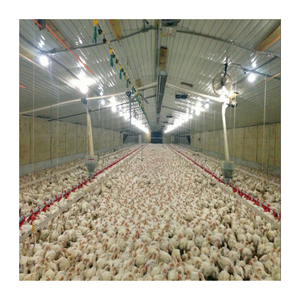 Conception de ferme de volaille de poulet de structure en acier préfabriquée moderne 1000 couches de maisons de poulets d'oeufs hangar de poulailler <span class=keywords><strong>à</strong></span> <span class=keywords><strong>vendre</strong></span> - Product Image 2