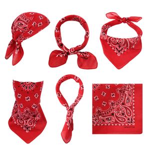 Venta al por mayor impresión personalizada divertida Hip Hop algodón Paisley Bandana - Product Image 2