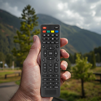 Vente en gros, fabrication chinoise, télécommande de remplacement pour télévision DVD STB TV DNASAT Service 4K LCD LED TV Controller