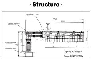 Machine professionnelle de pesage de trieuse d'oeufs de niveleuse de ligne de processus de classification d'oeufs entièrement automatique - Product Image 5