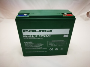 <span class=keywords><strong>Batterie</strong></span> au <span class=keywords><strong>plomb</strong></span> scellée 12V <span class=keywords><strong>36V</strong></span> 72V 24Ah pour scooter électrique, vélo électrique, UPS, électronique grand public PALMA 6dzm20 12V 24ah - Product Image 3