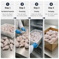 Cuisses de poulet congelées en gros pour la préparation de plats en restauration et pour les acheteurs de volailles congelées en gros