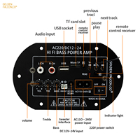 DC12V/24V HIFI carte amplificateur de puissance de basse 220V Subwoofer module amplificateur audio de voiture avec télécommande USB BT