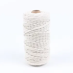 Đa màu sắc 3 sợi 100% polyester macrame sợi 3mm xoắn sợi đơn macrame dây sợi 3-10S sợi bông