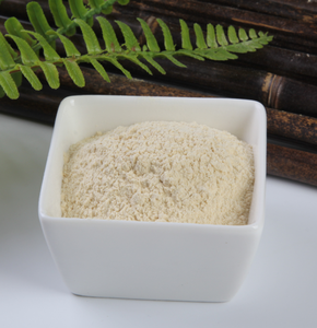 Pó de esparja puro de alta qualidade, em massa de boa qualidade shatavari - Product Image 3