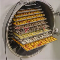 Professionele industriële automatische vriesdroogmachine, CE ISO gecertificeerd, hoge productiviteit, voedselveilig roestvrij staal