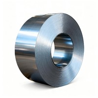 Bobina de Acero Galvanizado por Inmersión en Caliente DC53DZF, Aleación de Zinc-Hierro de Alta Resistencia, Sin Revestimiento, Procesada con Tecnología Skin-Pass, Acero WISCO