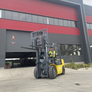 Spedizione gratuita camion di sollevamento del carrello elevatore diesel 3 ton 5 tonnellate CE Europe 5 con posizionatore a forcella e carrello elevatore del magazzino del cambio laterale - Product Image 5