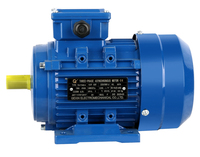 Générateur alternatif asynchrone triphasé à faible régime MS90L-4 1,5 kW 2 CV 1460 tr/min, moteur électrique à induction triphasé