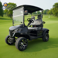 Chariot de golf à gaz 2 places noir le plus populaire vente directe d'usine prix le plus bas Kart touristique