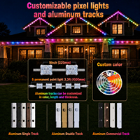 Vente en gros usine : Éclairage de Noël extérieur permanent pour toiture, 48V, type méduse, RGBW, IP68, UCS2904, Lumières ponctuelles RGBIC