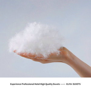 5 trong 1 <span class=keywords><strong>Comforter</strong></span> bộ đồ giường Vua Kích thước tấm Ga Trải Giường đặt sang trọng thêu khách sạn giường <span class=keywords><strong>Comforter</strong></span> - Product Image 3