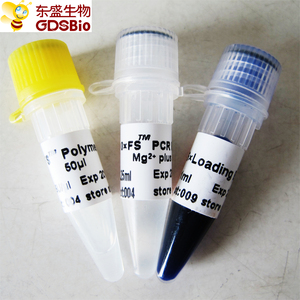 FS fast pcr Taq DNA polimerasi, <span class=keywords><strong>kod</strong></span>, campione disponibile P1071-P1072-P1073-P1074 - Product Image 5