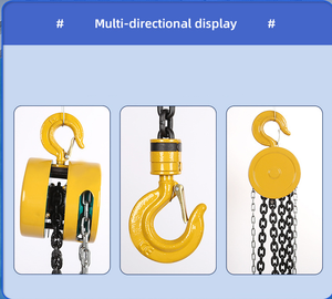 Polipasto <span class=keywords><strong>manual</strong></span> de alta resistencia, cadena invertida, 3m, 6m, venta al por mayor de fábrica - Product Image 3