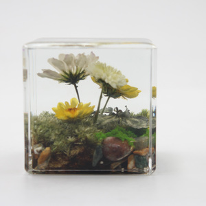Artesanías puramente hechas a mano Animal <span class=keywords><strong>Panda</strong></span> flor seca resina Rectangular adorno cúbico pisapapeles adornos para decoración de coche - Product Image 4