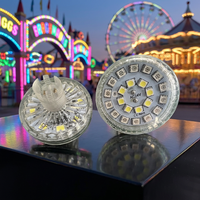 Éclairage de manège RVBW 60mm à LED Cabochon IP65 E14 à démarrage automatique, personnalisable pour parcs d'attractions, vente en gros