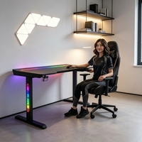 Escritorio para Juegos RGB de Fibra de Carbono, Mesa para Computadora con Dos Monitores y Caja de Gestión de Cables