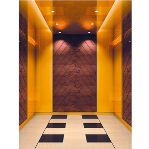 China Elevator Manufacturer Sightseeing Passenger Lift Cabin Price