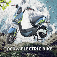 Moto électrique et cyclomoteur 1000W à 2 roues avec moteur de moyeu arrière, freins à disque hydrauliques, batterie au lithium, moteur sans balais, vélo de ville