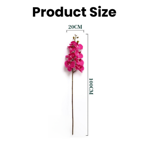 Latex d'<span class=keywords><strong>orchidée</strong></span> papillon artificielle de haute qualité Latex tactile réel plusieurs couleurs <span class=keywords><strong>orchidée</strong></span> Phalaenopsis pour la décoration de mariage à la maison - Product Image 3