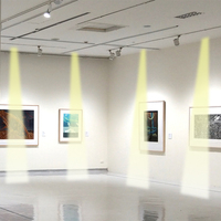 Haut-parleur dôme sonore, dispositif de projection sonore pour musées, expositions, aéroports, kiosques, signalisation numérique, présentoirs de vente au détail