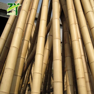 Pólo De Bambu Cru De Grande Diâmetro, pólos De Bambu Grande Uso De Construção De Alta Qualidade, polos De Bambu Moso De China Tamanho Feito Sob Medida - Product Image 2