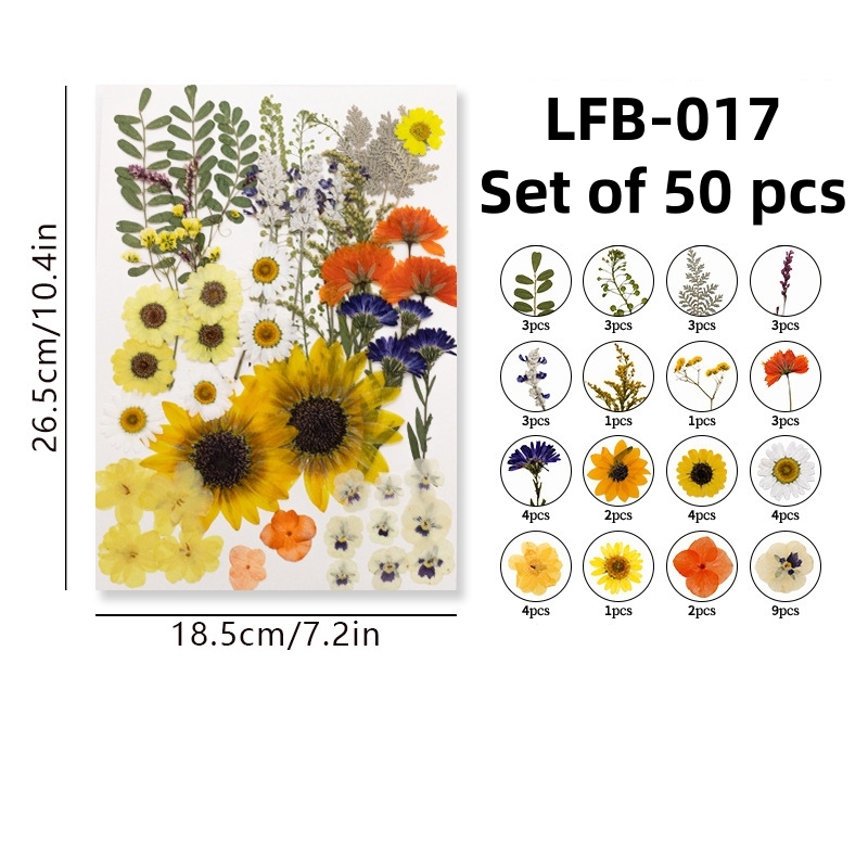 LFB-017