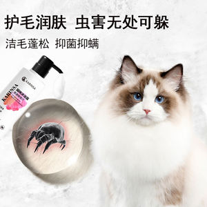 Venta de fábrica, superventas, productos para mascotas, 3G/20 tiras, polvo de limpieza de dientes, elimina manchas - Product Image 5