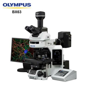 <span class=keywords><strong>Olympus</strong></span> BX63 <span class=keywords><strong>Microscope</strong></span> biologique de haut niveau automatique motorisé fluorescent à mise au point automatique avec étage X-y pour laboratoire - Product Image 2
