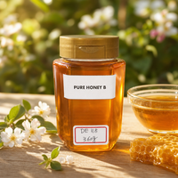 Pot carré en plastique de 360g de miel naturel avec couvercle doré – Miel pur doré pour le thé, le petit-déjeuner, la pâtisserie et la restauration