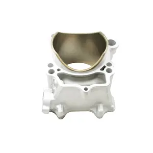 Cylinder Head For Yamaha YZ450F 06-09 WR450F 07-15 YFZ450R 09-18 2S2-11311-11-00