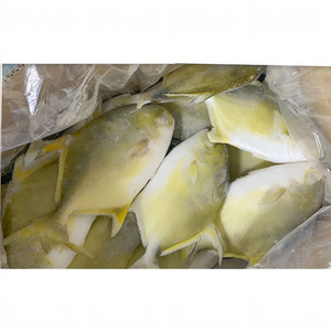 Pescado Pompano Dorado Congelado de 400-600g, Pescado Pomfret Dorado Criado en Granja, Pescado Pompano Entero y Redondo - Product Image 4