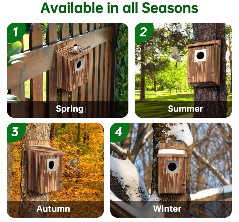 birdhouse kit diy