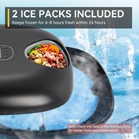 AFP Distributeur automatique de nourriture pour animaux domestiques avec 2 packs de glace 6 repas pour chiens chats Bols à minuterie automatique pour aliments secs humides