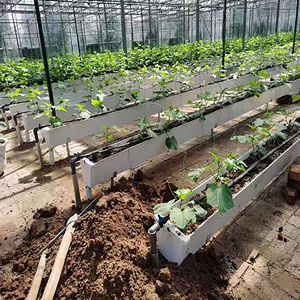 Free Design Cocoa Tree <strong>Irrigation</strong> Kit Center Pivot <strong>Irrigation</strong> System 1000m <strong>Drip</strong> <strong>Irrigation</strong> Kit for Garden - Product Image 5