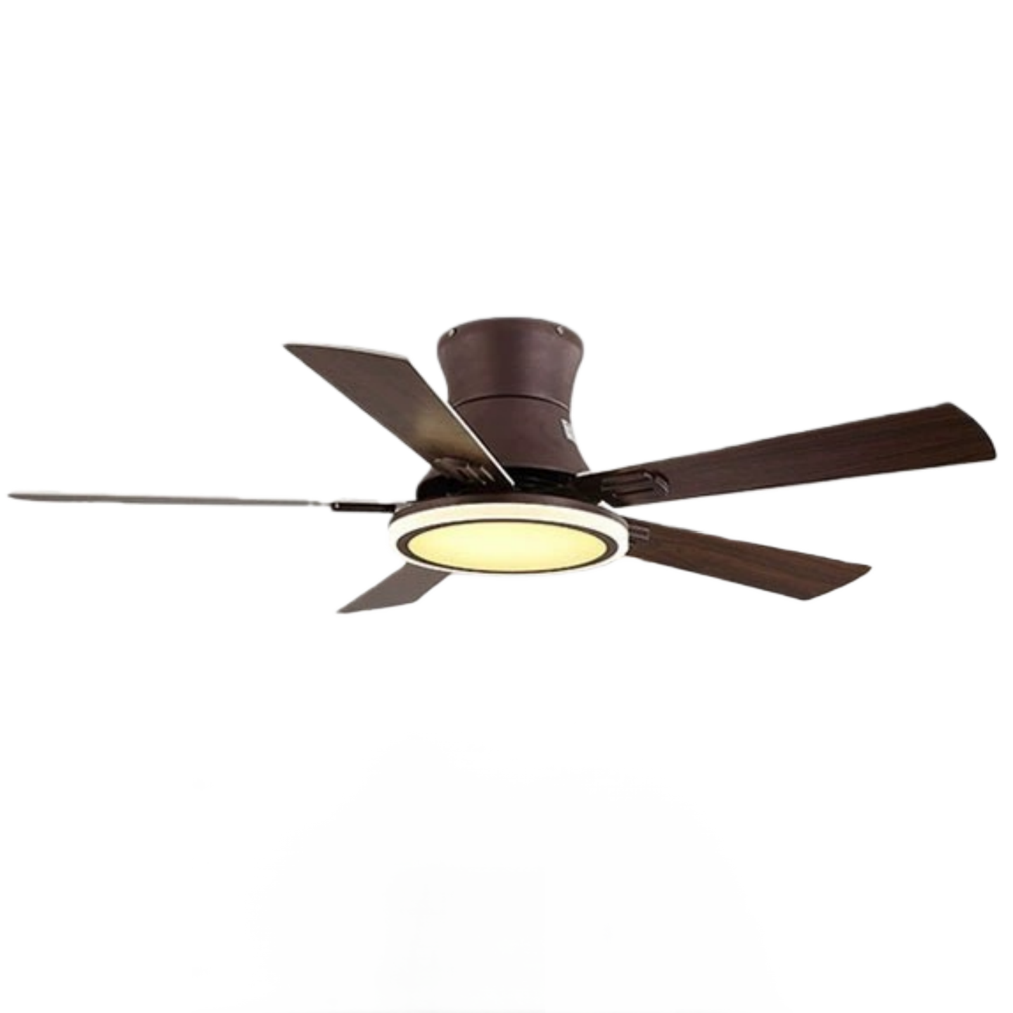 สีน้ำตาล