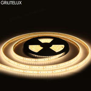 แถบไฟ LED แบบเส้นเดี่ยว ยาว 167 ฟุต 50 เมตร DC24V 12V 120LEDs/เมตร แถบไฟแบบยืดหยุ่น กันน้ำ IP68 สำหรับสระว่ายน้ำ - Product Image 1