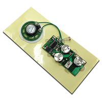 Module sonore programmable personnalisé OEM, puce audio USB à bouton-poussoir, module audio pour carte de vœux électronique