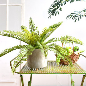 Planta Artificial de Hoja Persa Greenway, Decoración de Helecho, Planta en Maceta para Interiores, Adorno para Sala de Estar, Bonsái Pequeño - Product Image 2