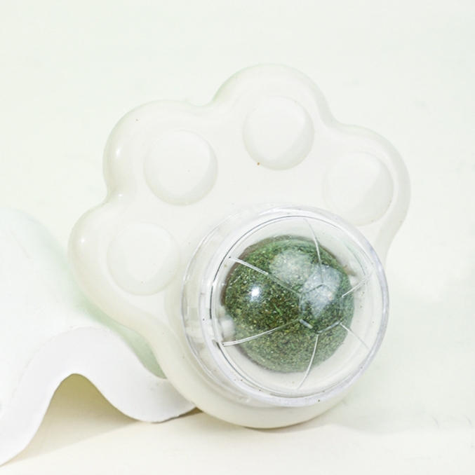 Cat paw-white