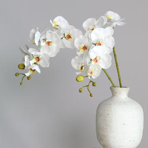 H-587 anggrek ungu lateks grosir 7 kepala bunga anggrek putih anggrek <span class=keywords><strong>Phalaenopsis</strong></span> sentuhan nyata anggrek - Product Image 4