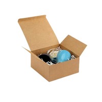 Boîte carrée en papier kraft, emballage en carton blanc, boîte à fond à clipser noire transfrontalière, 20 cm, grande, couleur unie, usage agricole