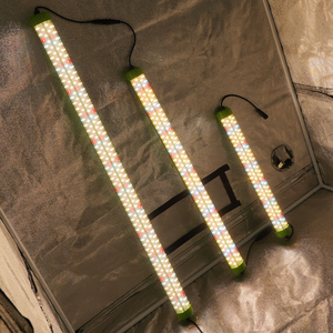 หลอดไฟปลูกต้นไม้ในร่มแบบปรับแต่งได้ LED T6 T8 สเปกตรัมเต็มรูปแบบ ปรับความสว่างได้ สำหรับปลูกผัก ดอกไม้ และสมุนไพร - Product Image 3