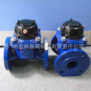 Compteurs d'eau à bride détachable LXLG-50E LXLG-65E LXLG-80E LXLG-100E LXLG-125E - Product Image 2