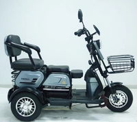 Vélo électrique à 3 roues en promotion, tricycle électrique pour adultes, 50 km/h, tricycle électrique pour personnes âgées, scooter de mobilité