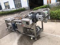 Automatische luchtbellen groentewasmachine Luchtbellenwasmachine voor fruit en groenten
