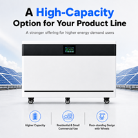 Batería Solar de Suelo LiFePO4 de 30kWh 51.2V 600Ah 200A, Sistema de Almacenamiento de Energía Doméstica para Distribuidores Solares