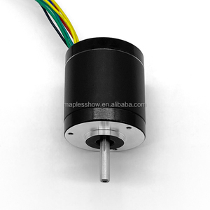 Motor sin Escobillas Redondo Pequeño de 12V y 42mm para Hogar Inteligente y Uso Doméstico, 10W de Alta Eficiencia, Certificado CE ROHS, 42BYA040A040X - Product Image 4