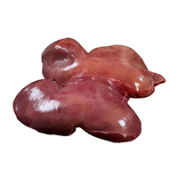 Foie d'agneau halal surgelé IQF de haute qualité, boîte de 20 kg - Prix direct usine, durée de conservation de 24 mois