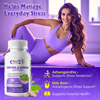 Capsules de soutien hormonal du cortex adrenal : Magnésium, Curcuma, Berbérine, Extrait de thé vert |   Équilibre hormonal, soulagement du stress, adulte
